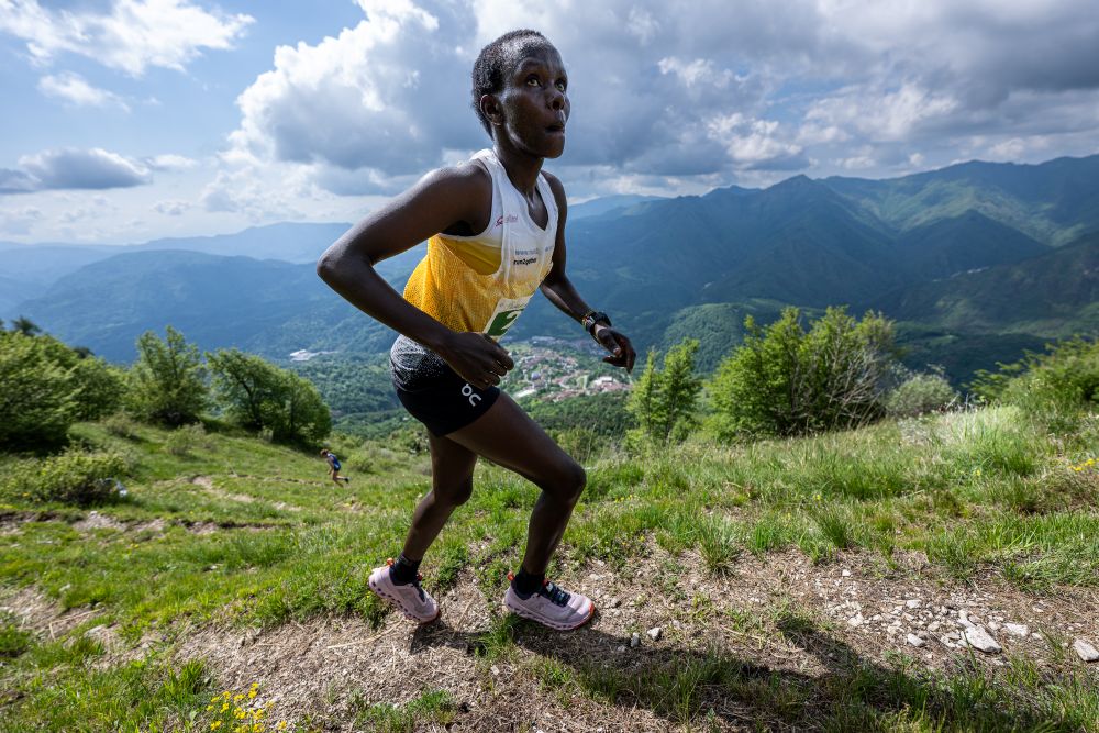 Philaries Kisang Vertical Nasego